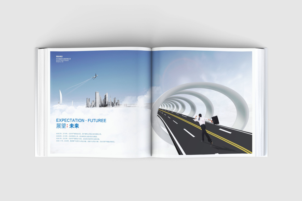 林芝县画册设计